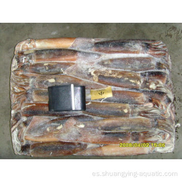 Argentinus congelado Illex squid entera redonda 100200g WR